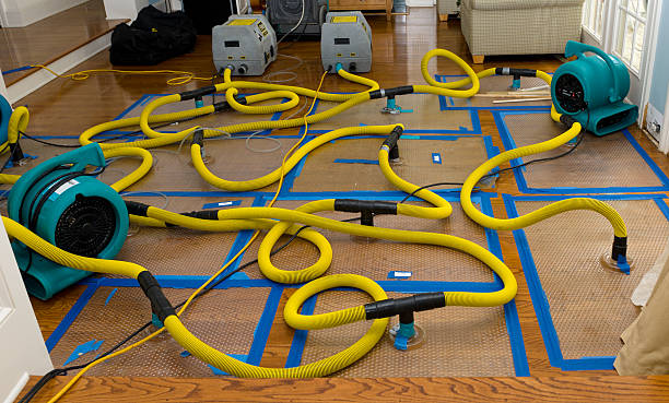 Professional Basement Flood Cleanup technician working in Pomona, CA